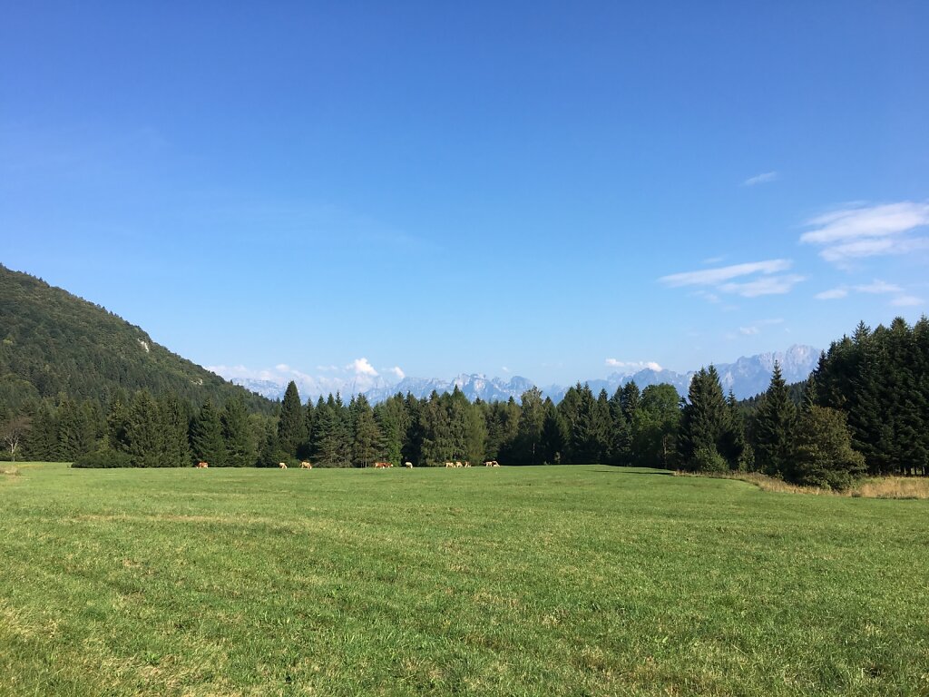 20.08.2018 Wieder Alm-Feeling