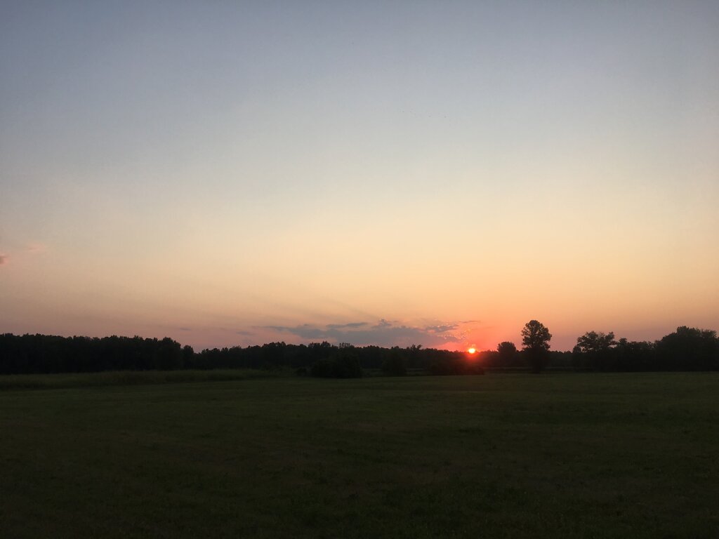 22.08.2018 Die Sonne kommt dazu...